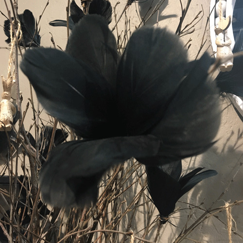 svart påskfjäder blomma