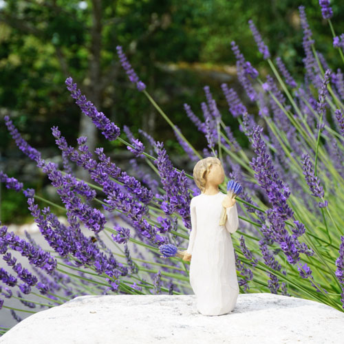 Lavender grace Willow tree