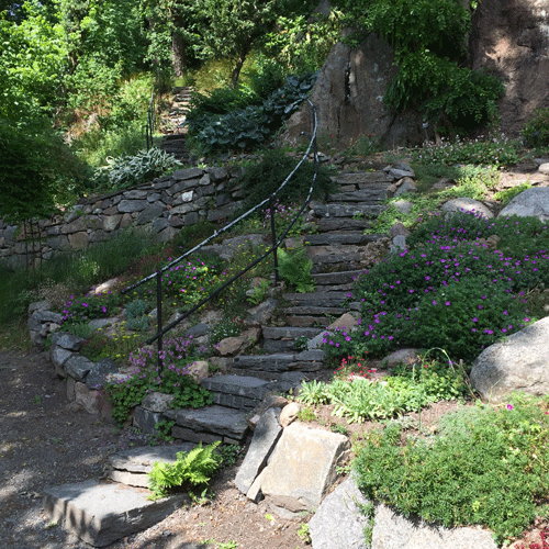 Bergfeldska trädgården