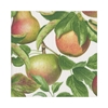 Bild på Caspari Apple Orchard Kaffeservett