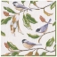Bild på Caspari Chickadee and Magnolia Ivory Middagsservett
