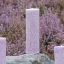 Bild på Spindelljus Ljung 20 cm