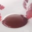 Bild på Rusty redJeanne dárc living Vintage paint 100 ml