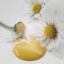 Bild på Warm Yellow Vintage paint 700 ml