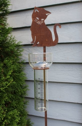 Bild på Regnmätare katt