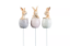 Bild på Kanin på stick ljusblå