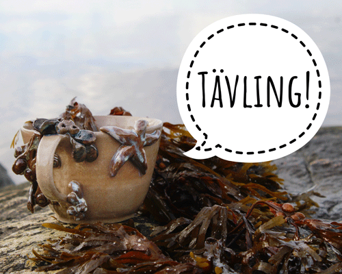 tävling timmervikens keramik